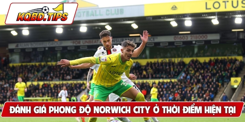 Đánh giá phong độ Norwich City ở thời điểm hiện tại